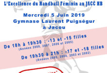 Affiche Portes Ouvertes Handball Féminin le 5 Juin 2019