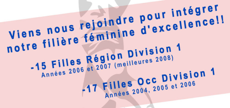 Projet Handball Féminin d'Excellence Saison 2020-2021